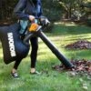 Worx WG583 40V Power Share 4.0Ah Cordless Leaf Blower/Vac/Mulcher