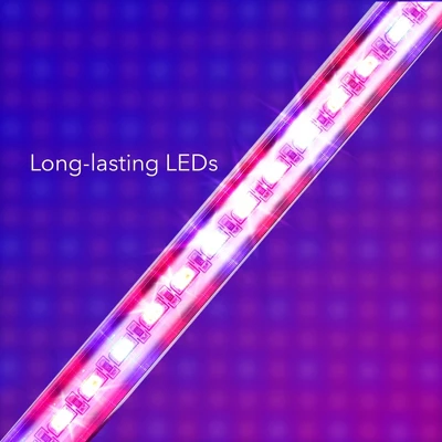 Dartwood LED Grow Lights For Indoor Plants With Red Blue Spectrum - Plant Grow Light With 9 Brightness Levels, Auto On Off Function 2 Dartwood LED Grow Lights For Indoor Plants With Red Blue Spectrum - Plant Grow Light With 9 Brightness Levels, Auto On Off Function - Image 2