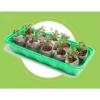 Window Garden Microgreen Organic Wheatgrass 3 Pack Refill
