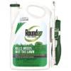 Roundup For Lawns Southern Herbicide With Wand - 1 Gal
