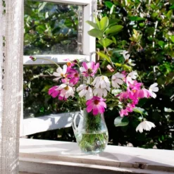 Back To The Roots 5pk Organic USA Flower Seeds 11 Back To The Roots 5pk Organic USA Flower Seeds -Sunnydaze Decor Store GUEST f4347ac0 4180 4cf1 b5e5 4b29a72da013