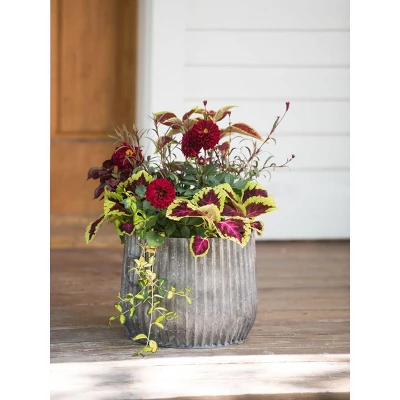 Gardener's Supply Company Galvanized Ribbed Barrel Planter, 12" 1 Gardener's Supply Company Galvanized Ribbed Barrel Planter, 12"